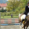 Babie Lato 2016